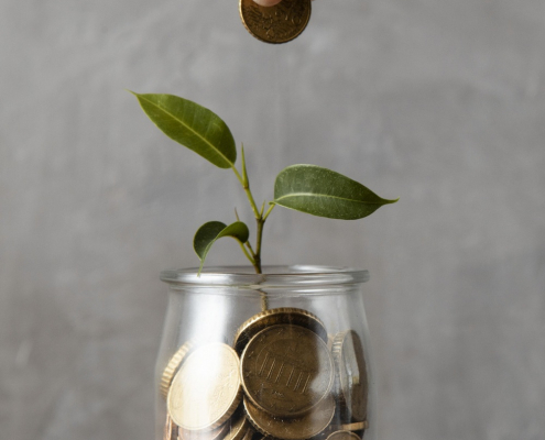 Glas mit Münzen und einer kleinen Pflanze